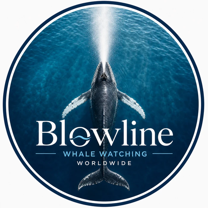 Blowline